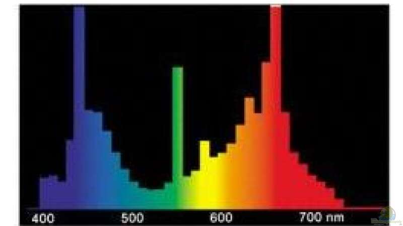 Lichtspektrum osram 77 von Patrick Rohde (3)