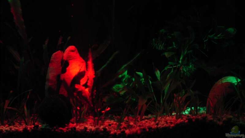 Schöne Lichteffekte wenn rot und grün sich treffen von Oliver Czaika (16)