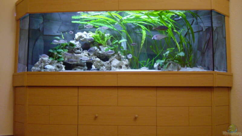 Aquarium Becken 692 von Limited (3)