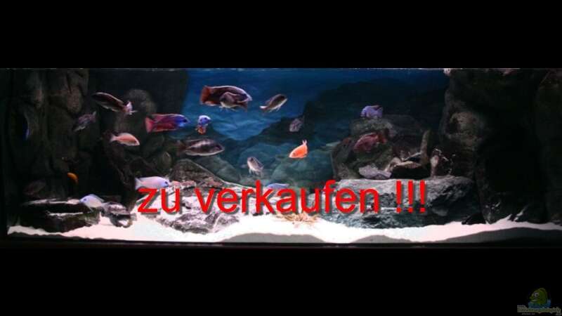 Aquarium zu verkaufen !!!