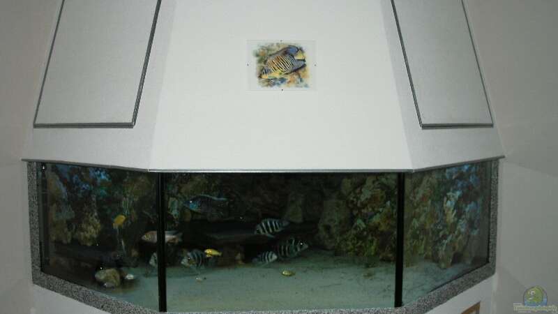 Aquarium Hauptansicht von Becken 705 von Dirk Abelshausen (1)