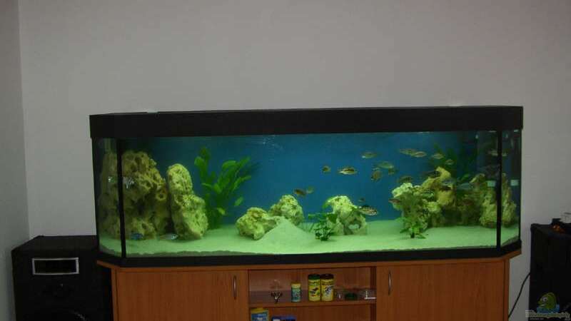 Aquarium Becken 706 von Christian Quint (2)