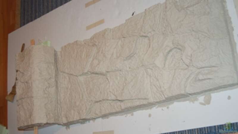 Die Rückwand, aus Styropor modelliert und mit der ersten Lage Zement überzogen von Claus Becker (5)