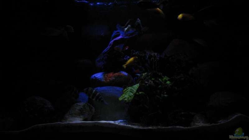 Aquarium Becken 7200 von Cali20 (6)