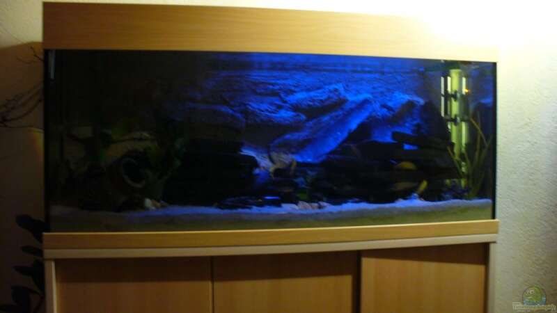 Aquarium Becken 7305 von Knut Hillmer (5)