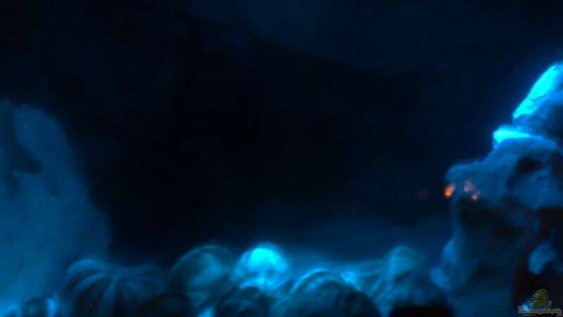 Nachts mit Mond LED von Christopher Hofmann (4)