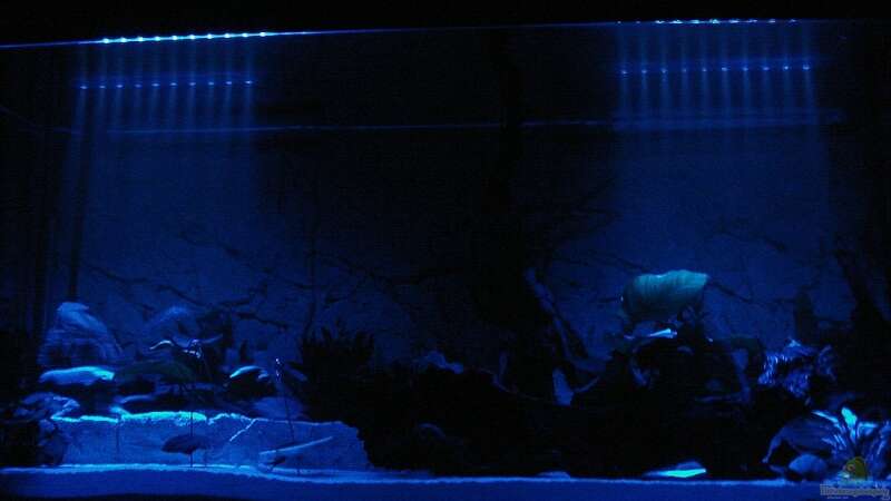 Aquarium im Mondlicht von Florian Kallinger (6)