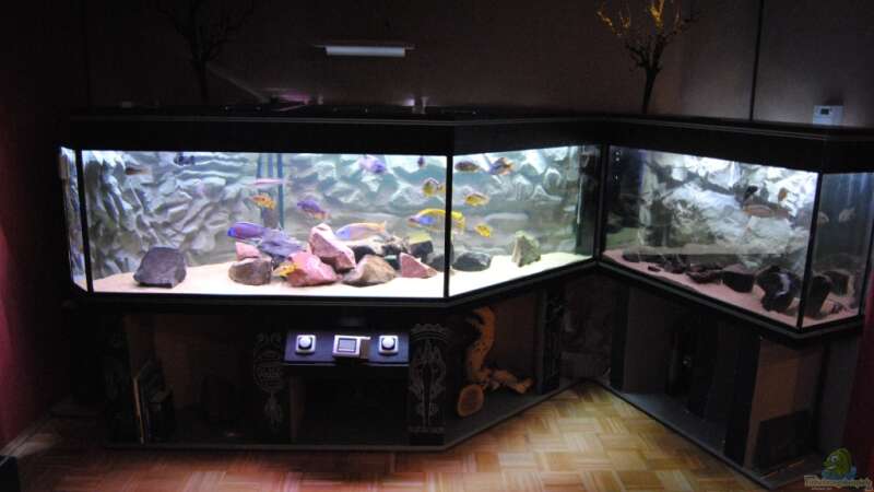 Aquarium Becken 7395 von Manni (5)