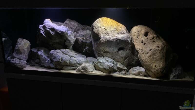 Aquarium Hauptansicht von Rockzone von marcelfibster (1)