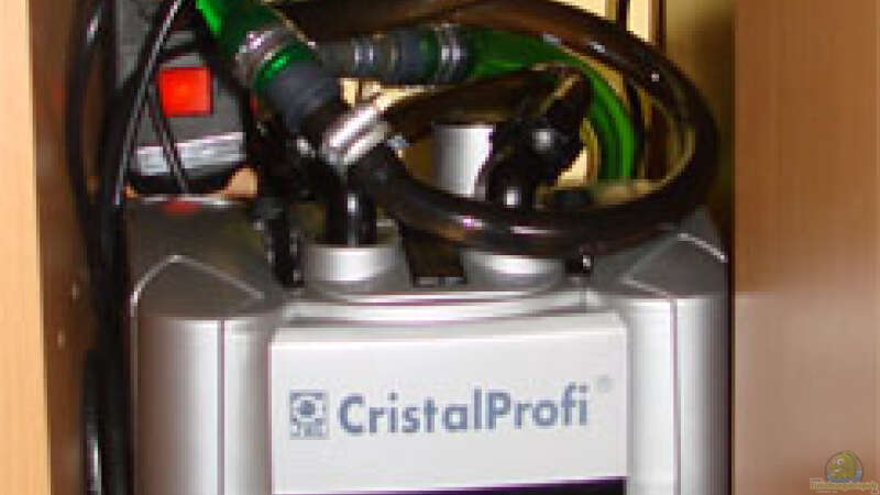 JBL Crystal Clear 900e & UV-Licht Wasserklärer von Dirk (7)