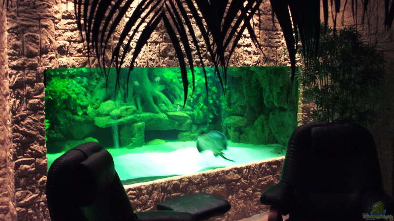 Aquarium schauanlage von Olaf Machnow (2)