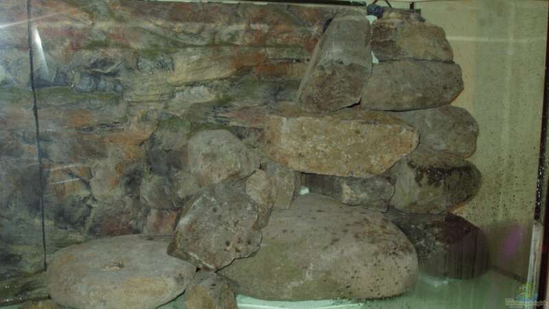 Steinhaufen rechts - bei Einrichtung des Beckens von Baresi (7)