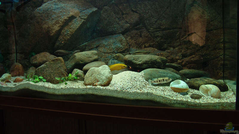 Aquarium Becken 771 von Oliver Vieth (5)