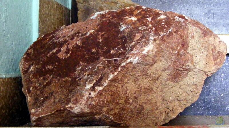 für den EB-Chefdekorierer....