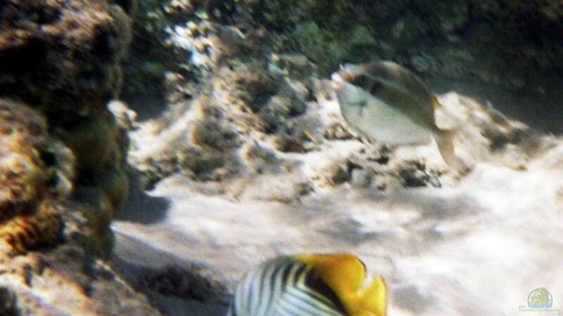 Bild zum Sonntag ...oder Bild der Woche...