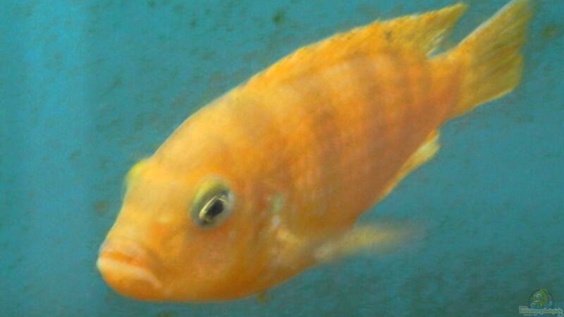 Was bin ich und was brauche ich zum Leben ? 10