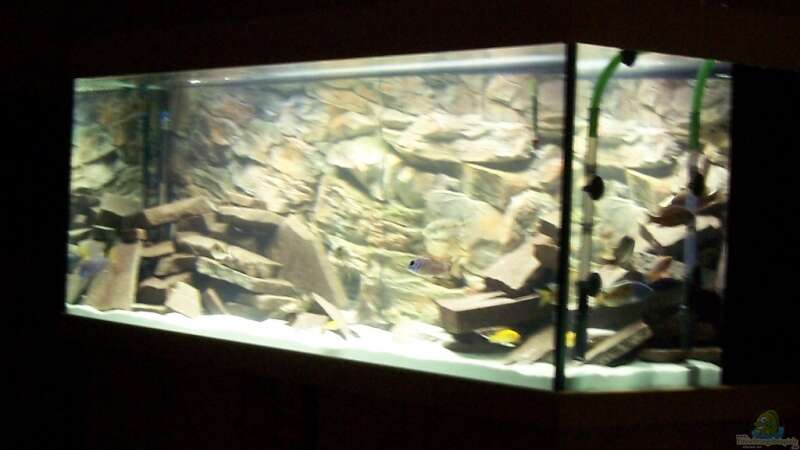 Aquarium Becken 8330 von cichliden-aquarium.de (2)