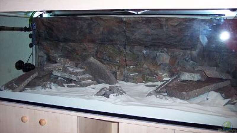 Dekoration im Aquarium Becken 8330 von cichliden-aquarium.de (4)