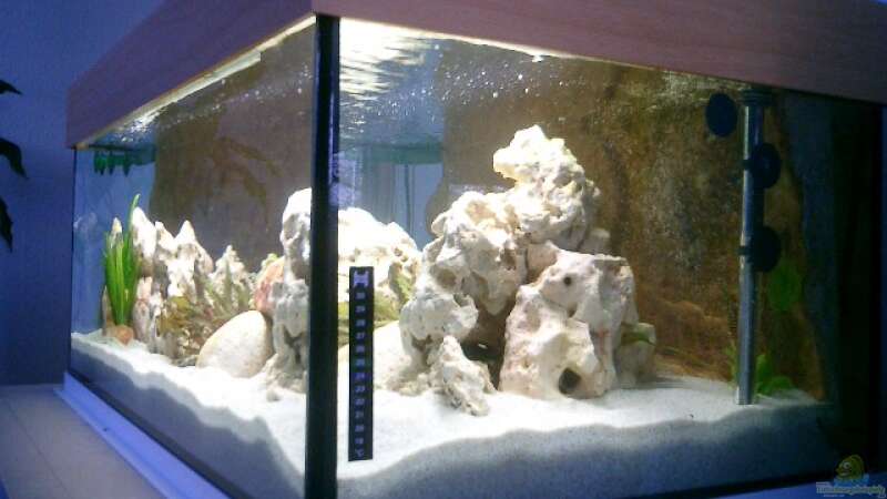 Aquarium Becken 838 von vizekoenich (5)