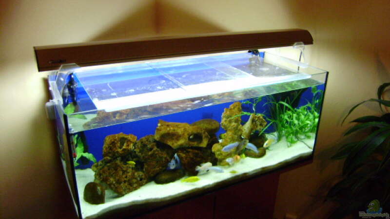 Aquarium Becken 8716 von deepsea (2)