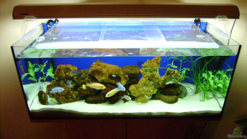Aquarium Hauptansicht von Becken 8716 von deepsea (1)