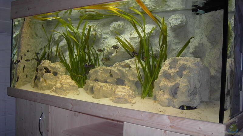 Aquarium Hauptansicht von Becken 883 von Enrico Pinkert (1)