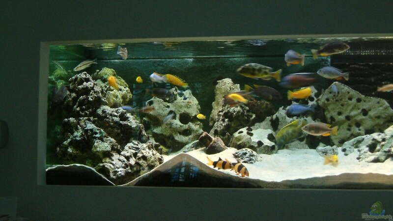 Aquarium Becken 89 von Marcos Arias (3)