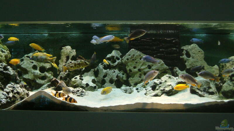 Aquarium Becken 89 von Marcos Arias (4)
