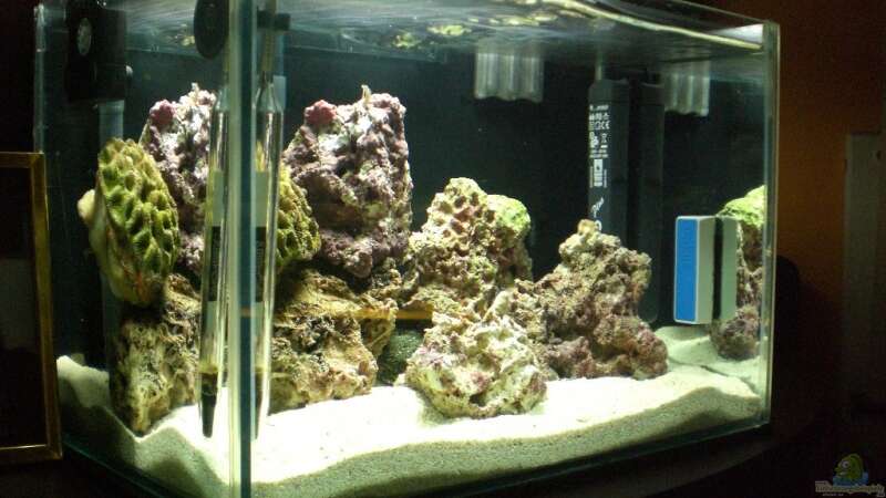 Aquarium Becken 8937 von rot08 (2)