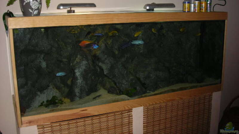 Aquarium Becken 9037 von MDenzer (6)