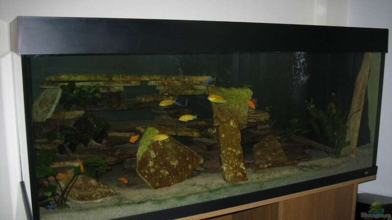 Aquarium Becken 9143 von Dennis Eick (3)