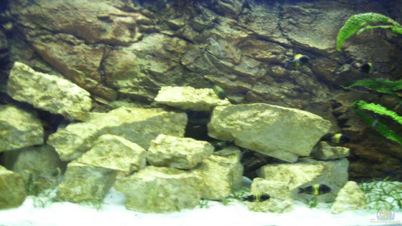 Aquarium Becken 919 von David Kujawa (2)