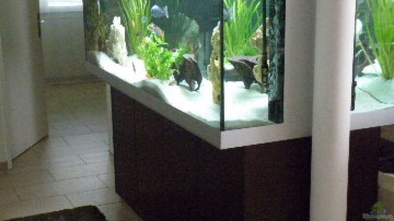 Aquarium Becken 9198 von Jennifer Clee (7)