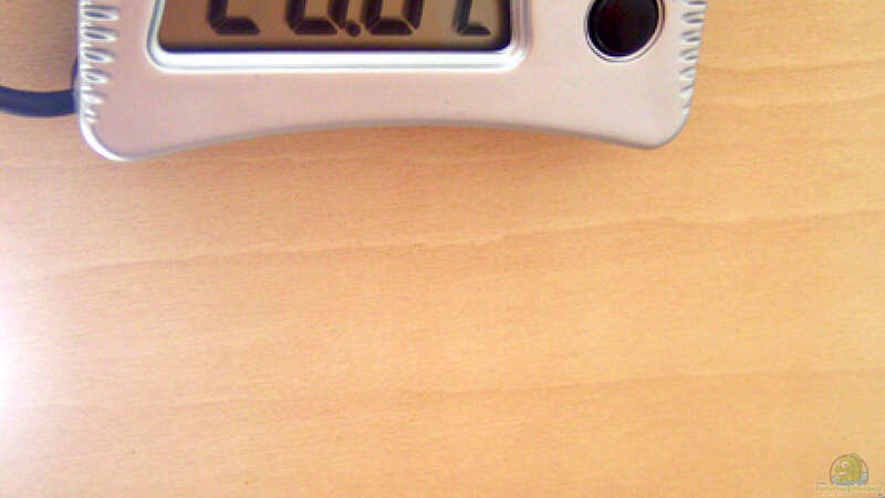 digitales Thermometer von Christoph Winter (11)