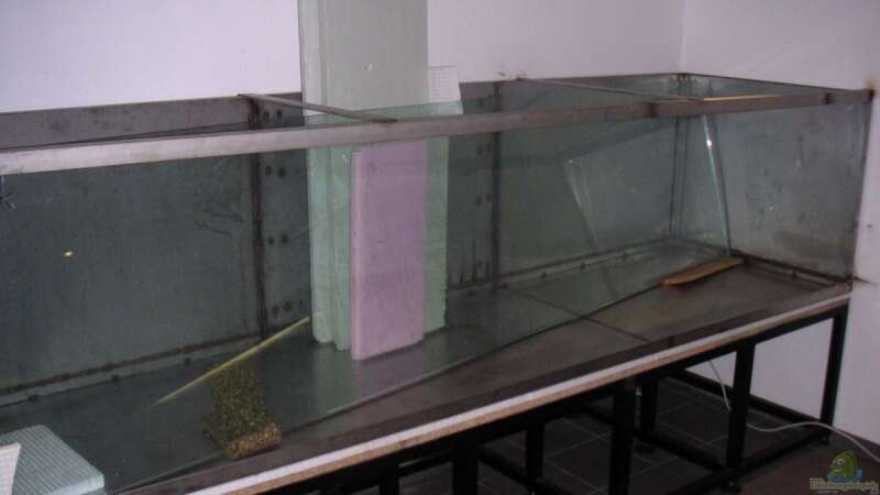 Aquarium Becken 9459 von malawi-fish (2)