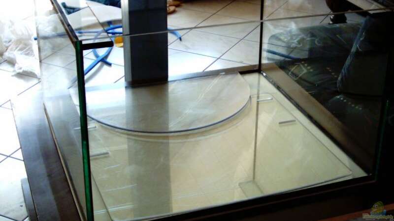 Becken mit Plexiglasscheiben ausgelegt von Schielefix (5)