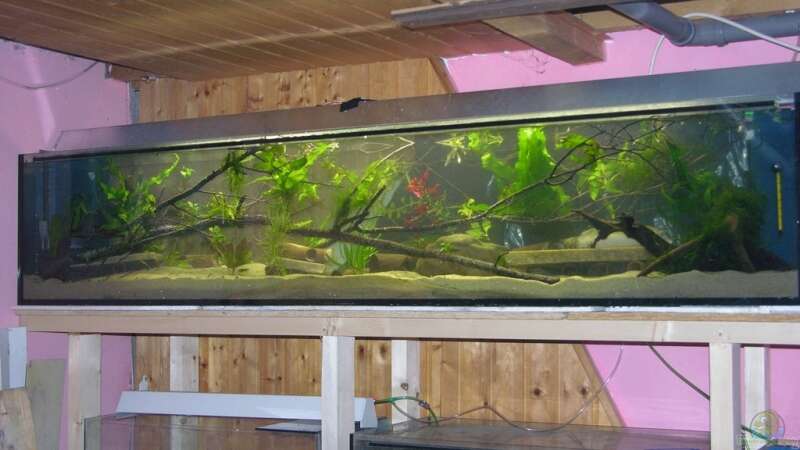 Aquarium Becken 9750 von dornwels (7)