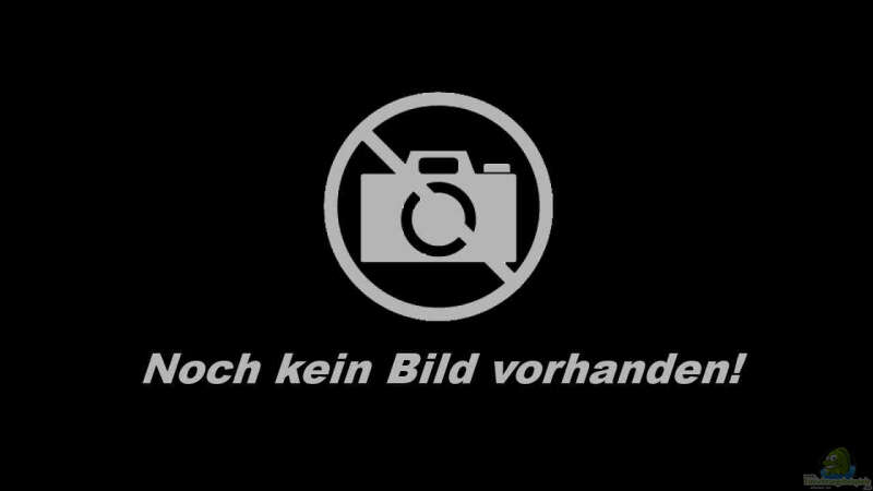 Kein Bild vorhanden!