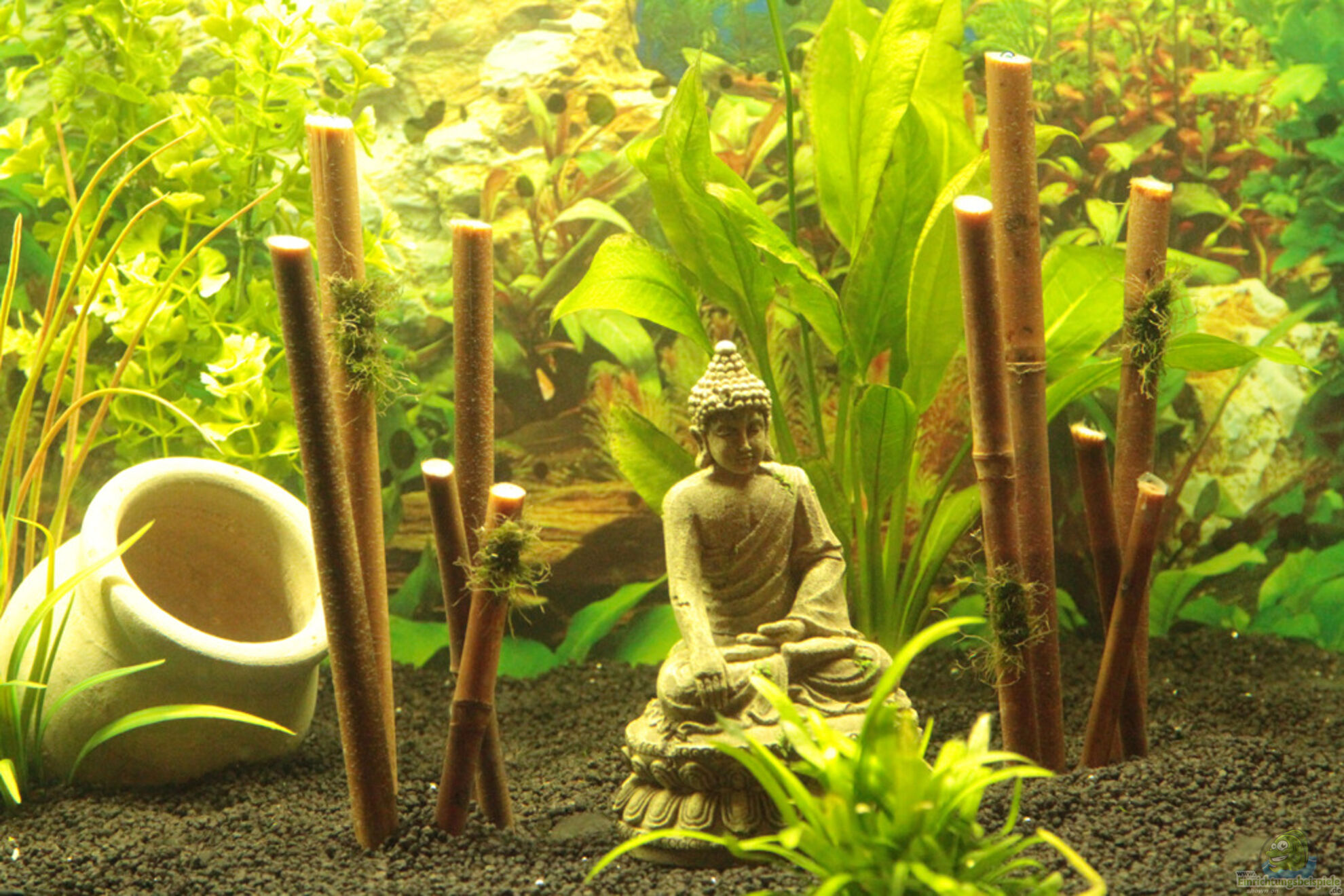 Bambus: Eine geeignete Deko frs das Aquarium? (6395)