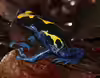 Dendrobates tinctorius