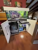 Aquariumschrank: Sicherer Unterbau, praktischer Stauraum und passende Basis für das Aquarium (Einrichtungsbeispiele mit Aquariumschränken)
