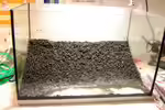 Soil als Bodengrund im Aquarium (Einrichtungsbeispiele mit aktiven Bodengrund)