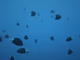 Chromis chrysura