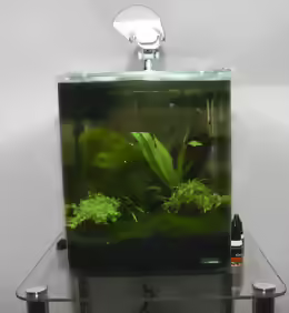 Dennerle Nanocube