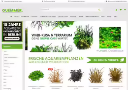 Garnelen Gümmer