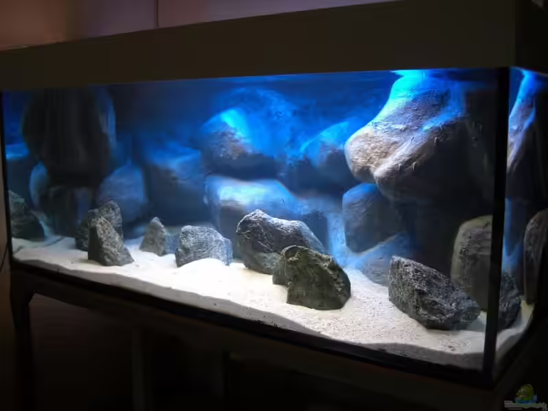 Basalt als Deko im Aquarium (Einrichtungsbeispiele mit Basalt-Steinen)