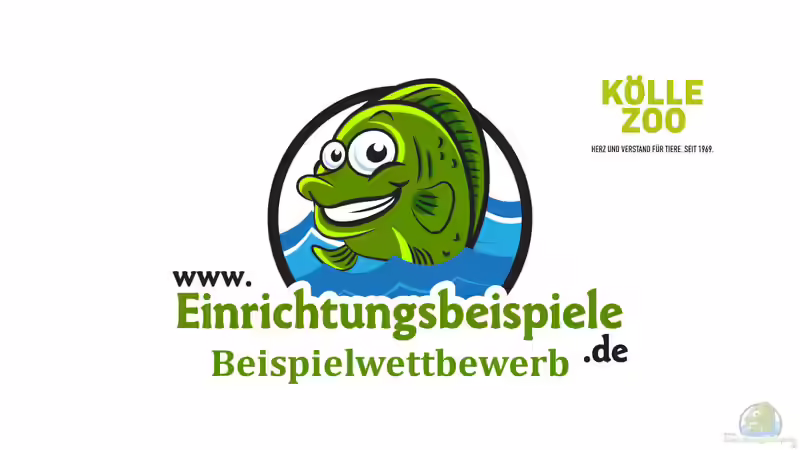 Die Teilnehmer am monatlichen Beispiel-Wettbewerb