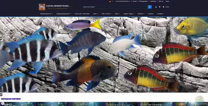Cichlidenstadel.com: Spezialist für ostafrikanische Buntbarsche und ausgewähltes Aquaristikzubehör (Einrichtungsbeispiele mit Tieren vom Cichlidenstadel)