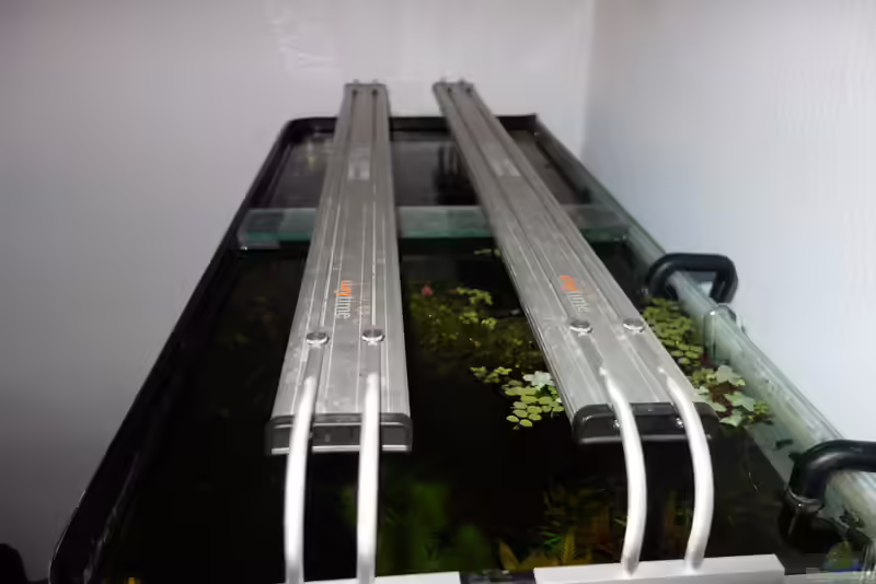 Daytime – LED-Beleuchtung (Einrichtungsbeispiele mit Daytime – LED-Beleuchtungen)