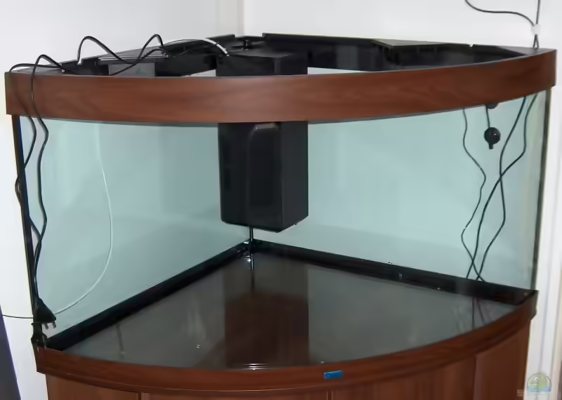 Eckaquarium: platzsparende Aquariengestaltung mit besonderer Wirkung (Einrichtungsbeispiele für Eckaquarien)